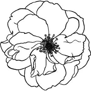 'Peony Flower' Unmounted Rubber Stamp (RS013855)