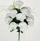 White Carnation 17