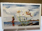 Utah State Flower Postcard - Sego Lily - ARTIST SIGNED: Ken Haag