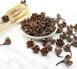 24pcs Lovely Natural Dried Flowers Wedding Easter Decoration