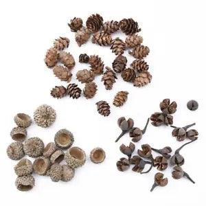 20 Pc Natural Dried flowers Pine cone Acorn Artificial Flower Home Christmas
