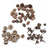 20 Pc Natural Dried flowers Pine cone Acorn Artificial Flower Home Christmas