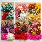 1Box Jewellery Making Real Pendant Dried Flowers Epoxy Resin DIY Art Craft