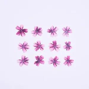 12PCS Real Pressed Dry flower, pink cherry bloom flower for art, craft FCD31