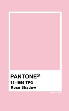 Pantone Rose Shadow 13-1906 Flower Delivery