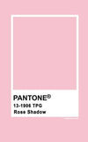 Pantone Rose Shadow 13-1906 Flower Delivery