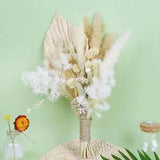 Pampas Grass Phragmites Dried Flowers Floral Arrangement for Vase Palm Leaves