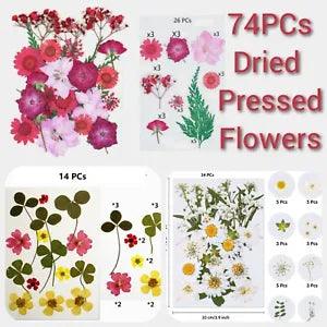 Dried Pressed Flowers for Resin DIY