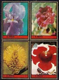 Ajman 1972 Flowers Iris Carnation Gloxinia Plants Nature 4v set MNH