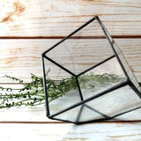 Truncated cube, terrarium (florarium), for cacti lover, mini-orchids, house plants, artificial flower arrangements, windowsill decoration