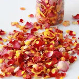 15g Mini Natural Dried Flower Rose Petals for Wedding Party Decor DIY Craft Set