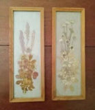 Set of 2 VTG Framed Pressed Dried Flowers Made in Poland 12 1/2"x 4 1/2" 1976
