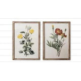 Set of 2 Marigold & Ranunculus Botanical Framed Prints