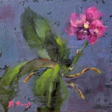 Orchid Painting Floral Original Art 10"x 10" Still Life Oil Painting Tropical Flower Wall Artwork Hawaiian Small Painting by RoseGeorgiART