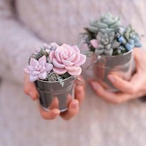 Succulent soap Flower for your office Decorative bouquet of succulents Gift boss
