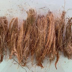 Natural coconut husk fibers and chips for planting