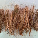 Natural coconut husk fibers and chips for planting