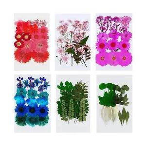 Mini Dried Flowers for Resin Jewelry, Natural Small Real Pressed Flowers Leaves