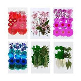 Mini Dried Flowers for Resin Jewelry, Natural Small Real Pressed Flowers Leaves
