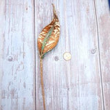 Electroformed Milkweed Seed Pod Hairstick