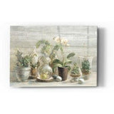 Acrylic Glass Wall Art 'Greenhouse Orchids on Wood' by Danhui Nai