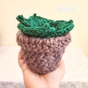 Monstera Leaf Coasters with optional storage pot, succulent plant pot set, crochet coasters