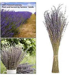 Artificial Dried Flowers Lavender Home Fragrance Products for Home Wedding