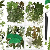 Dried Pressed Leaves Dried Flowers for Resin Real Assorted Dried Greenery with T