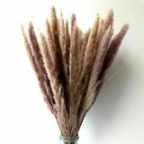 Natural Dried Pampas Grass 24'' Tall Wedding Flower Bunch For Home Decorations