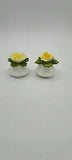 AYNSLEY ENGLISH FINE BONE CHINA YELLOW FLOWER SALT PEPPER SHAKER?-Rose/Carnation