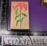 LILY PLANT FLOWER LEAVES RUBBER STAMP STAMPEDE Z-351E CREAKYATTIC