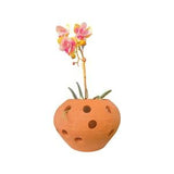 Large Orb style Orchid Terracotta Planter, Holes for Root Health, hanging planter, Great for orchid shows, Gift Orchid Collector.
