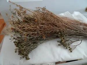 Lot of Faux Flowers-New & PreOwned Plastic & Dried Tiny Blooms