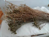 Lot of Faux Flowers-New & PreOwned Plastic & Dried Tiny Blooms
