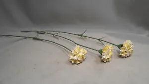 3 China Carnation Flowers