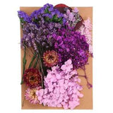 Natural Dried Flowers Multiple Real Dried Pressed Flowers Plant Purple Series