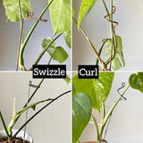 Plant Stakes, Stem Holders, Copper or Steel, Swizzle or Curl Plant Stick, Decorative Plant Stakes, Orchid Sticks, Monstera Stakes, 2 Designs