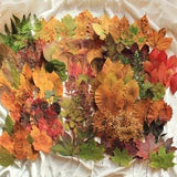100 Real Fall Leaves, Pressed Autumn Leaves, Dried Leaves Decor