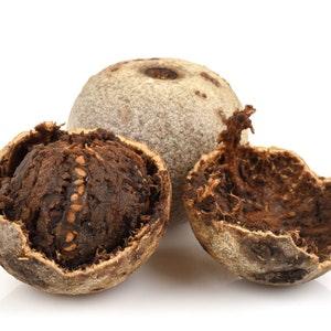Wood Apple Tree Seed , Limonia Acidissima , Elephant Apple - 30 seeds for Growing
