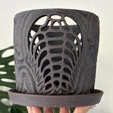 Black Grey Unglazed Ceramic Trilobite Fossil Orchid Planter Pot with Holes and Optional Saucer