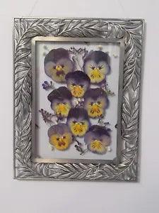 Dried Pressed Pansies in Vintage Silver Floating Frame: 7.25" x 9.5"
