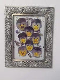 Dried Pressed Pansies in Vintage Silver Floating Frame: 7.25" x 9.5"