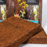 Tree Fern Orchid Board - Also Known as Tree Fern Plaques - Soft, Durable, and Fibrous - Used by Both Hobbyist and Commercial Growers