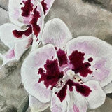 Rare Orchid watercolor painting- Vantage Point by Jennifer Greenfield