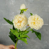 3 Heads Faux Peony Stem | Artificial Flower | Wedding/Home Decoration | Gifts - Cream
