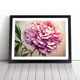 Joyous Peony Flower Framed Wall Art Poster Print Home Decor Picture Large