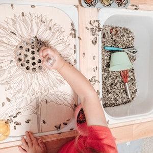 FLISAT Sunflower Sorting Inserts - Insert Only - Wooden Insert - IKEA - Sensory Bin Insert - Large Insert for kids