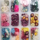 1Box Mixed Real Dried Flowers Dried Plants DIY Pendant Making Craft Decoration