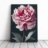 Peony Flower Portrait Canvas Print Wall Art Framed Picture Home Decor Large