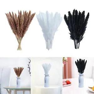 Dried Pampas Grass Phragmites Reed Flower Bunch Bouquet Home
